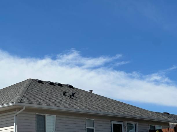 Best Hot Roofs  in Drexel Heights, AZ